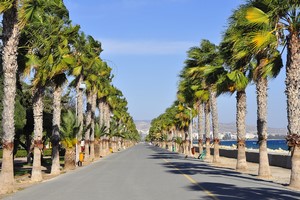Leiebil Limassol