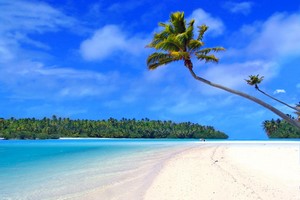 Leiebil Hawaii