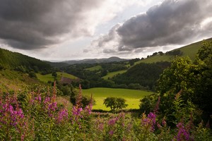 Leiebil Carmarthen